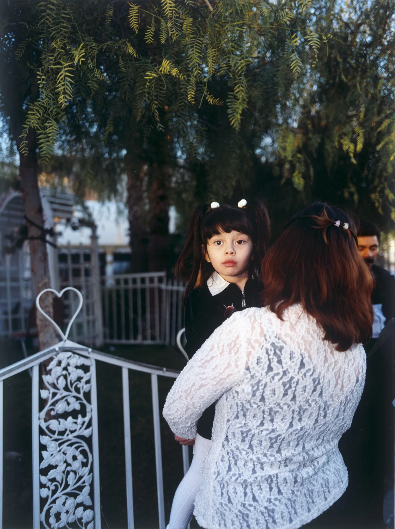 Heartfence.jpg