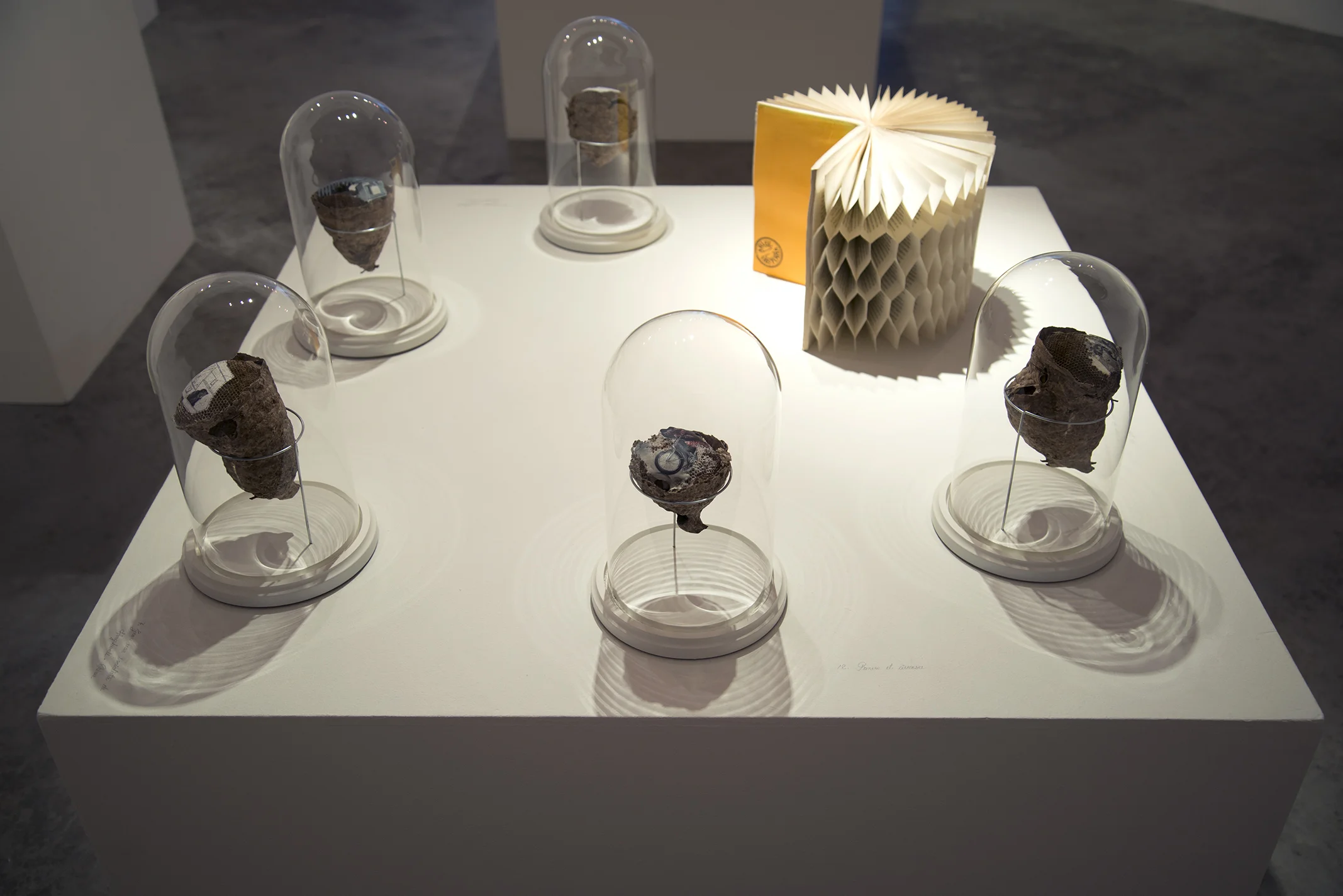 2014-05-26 03.10.05.jpg