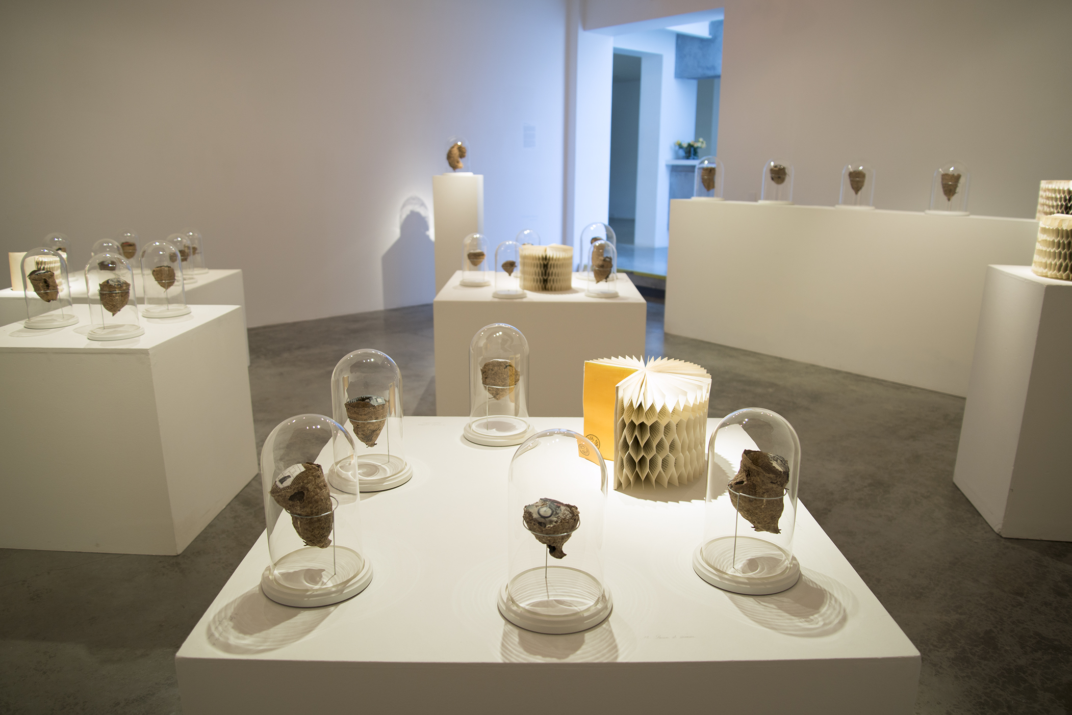 2014-05-26 03.12.56.jpg