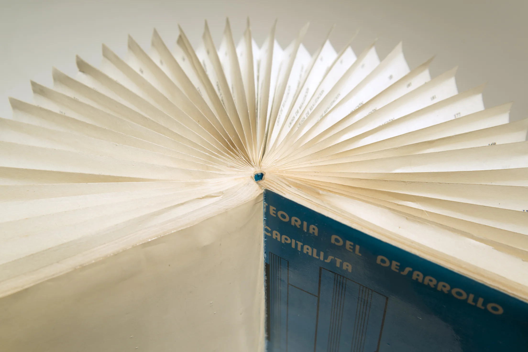 2014-05-26 03.19.02.jpg