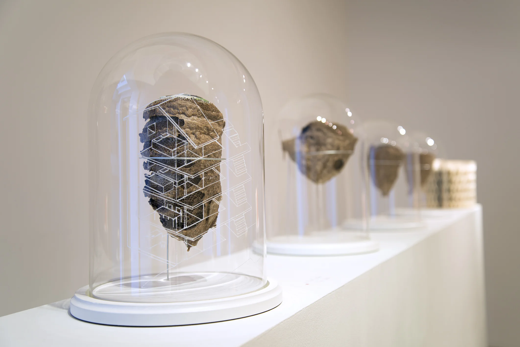 2014-05-26 03.23.37.jpg