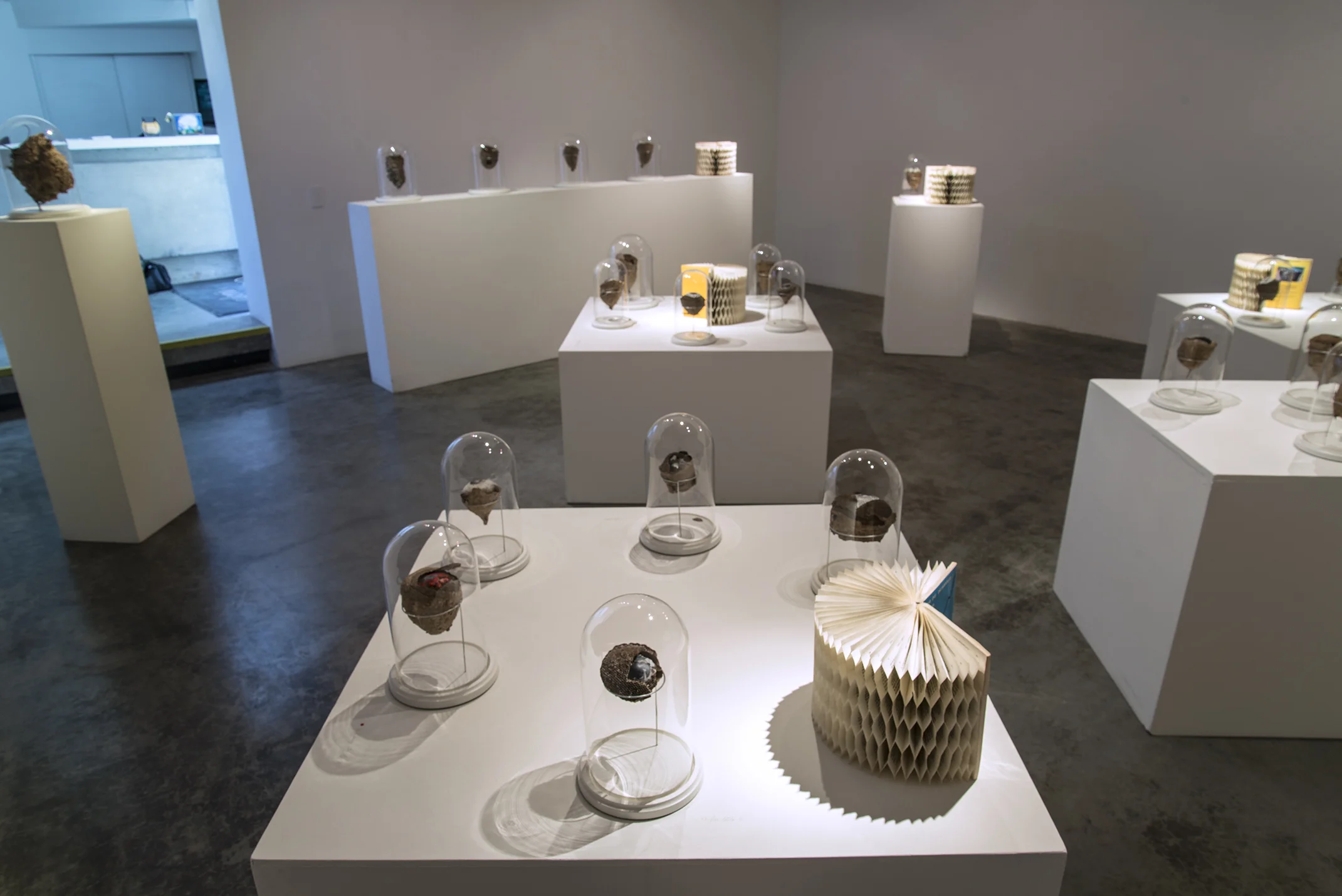 2014-05-26 03.40.57.jpg