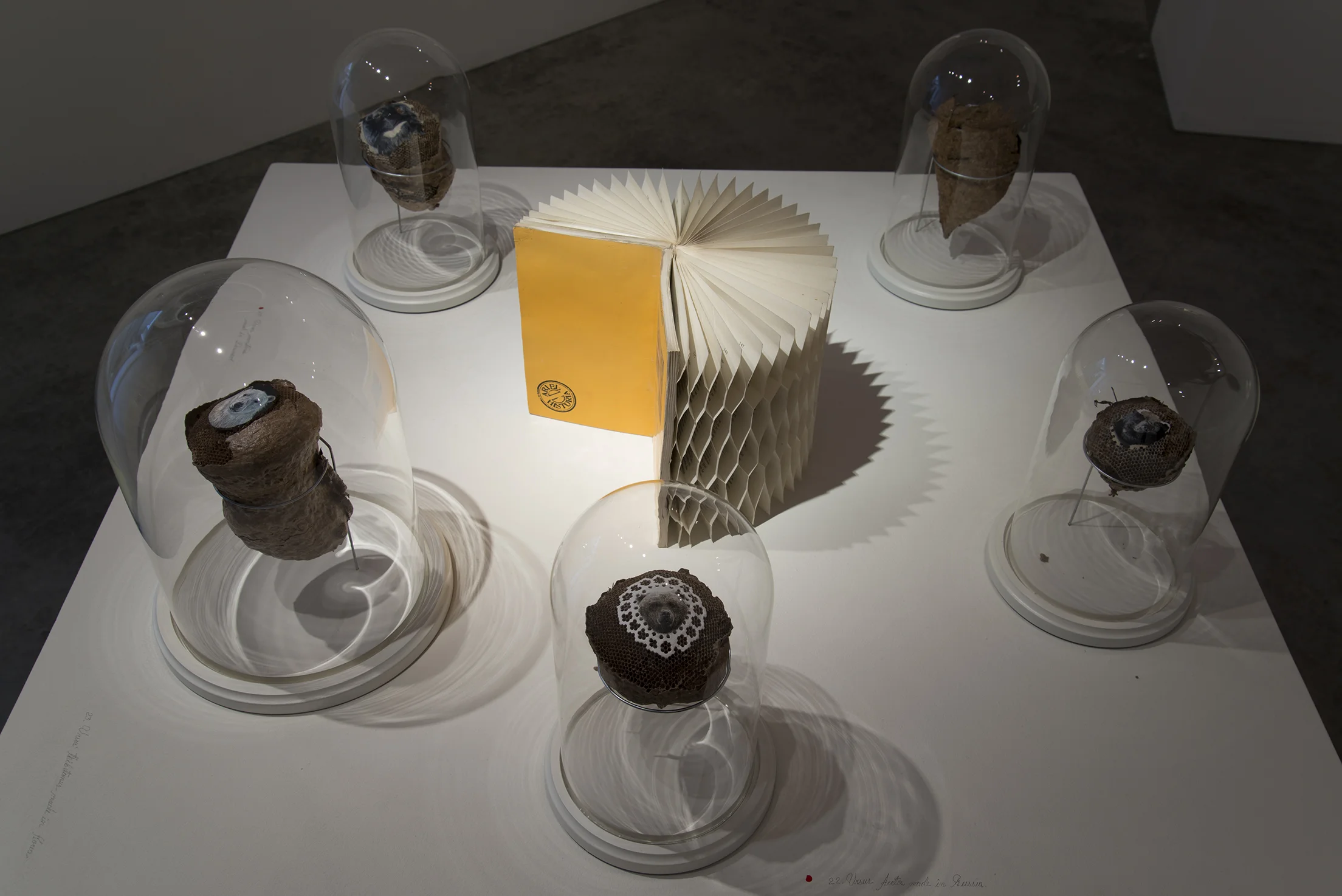 2014-05-26 03.45.13.jpg