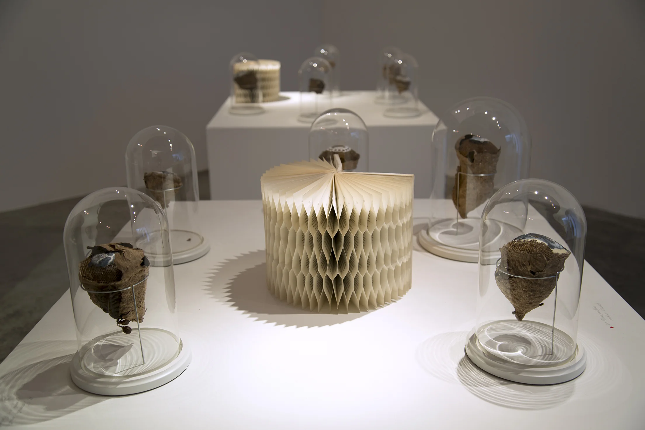 2014-05-26 03.53.54.jpg