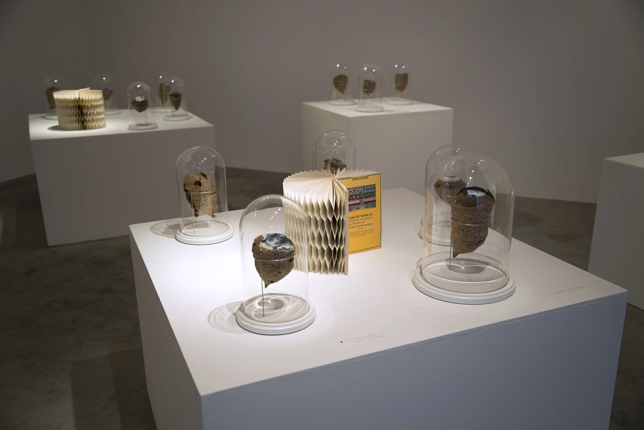 2014-05-26 03.55.17.jpg