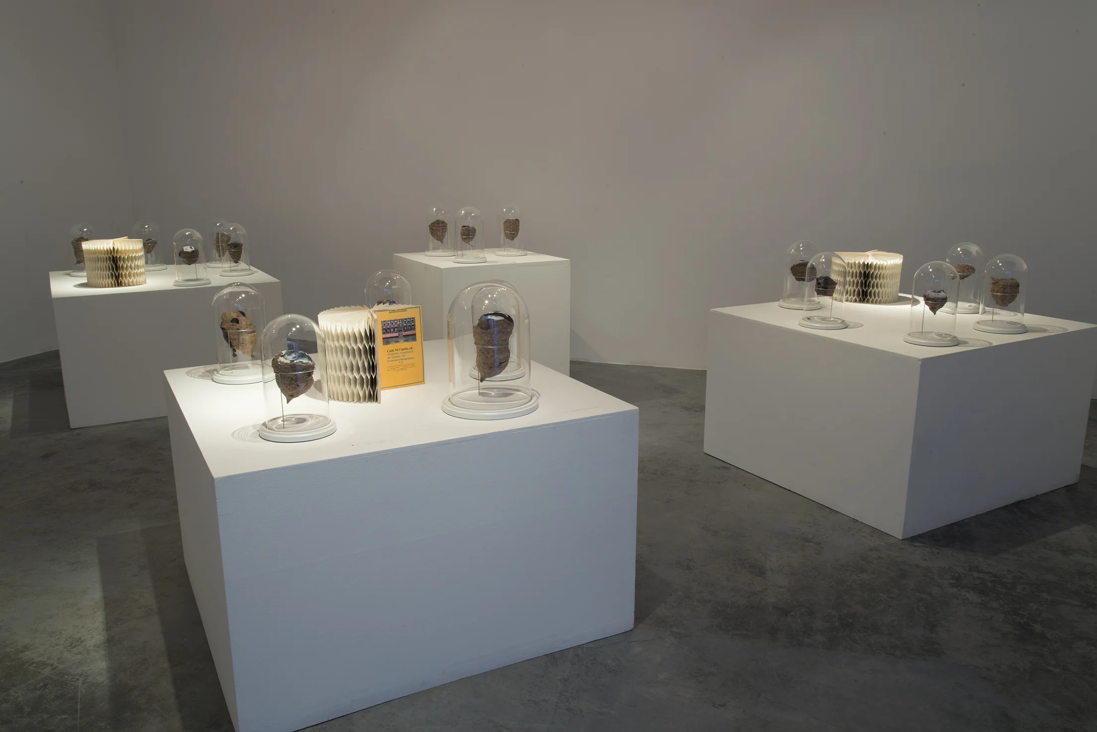 2014-05-26 03.56.16.jpg