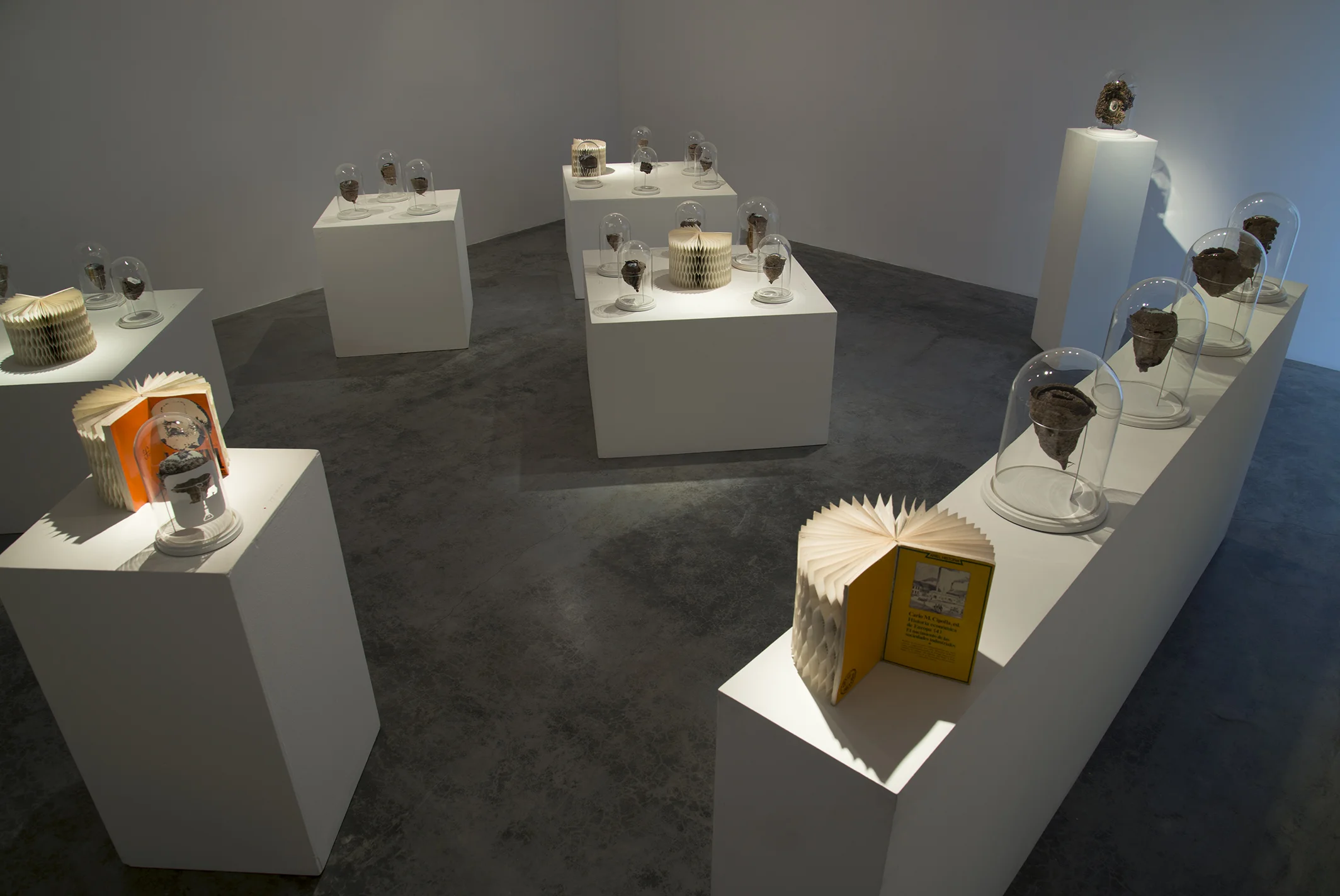 2014-05-26 04.02.42.jpg