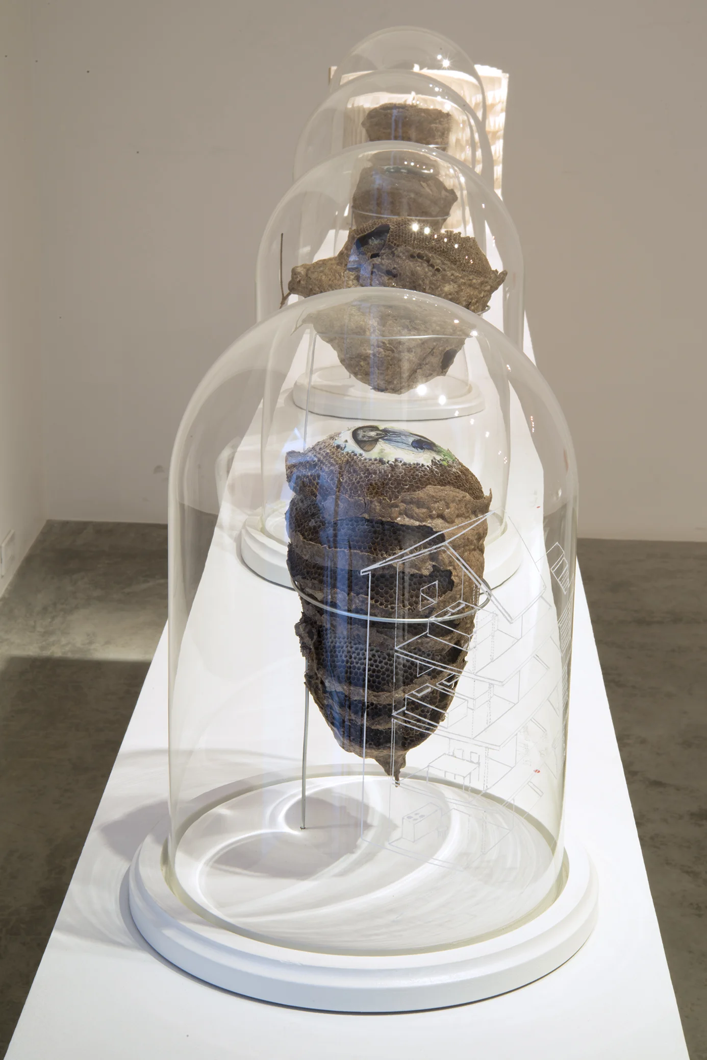 2014-05-26 04.14.34.jpg