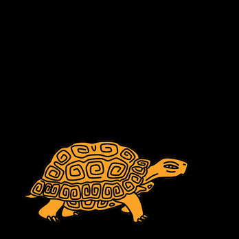   Tortoise walking / Tortuga caminando  