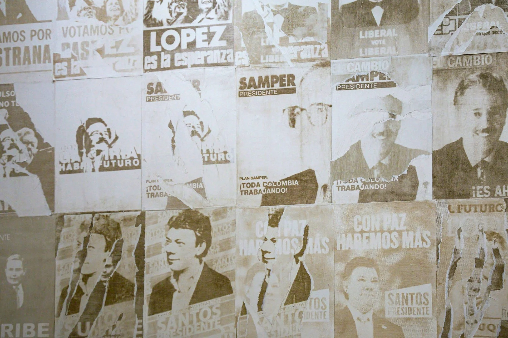 2 / 5
Mordiendo Polvo, 2024 · Presidential campaign posters, detail · Gum bichromate prints with collected dust