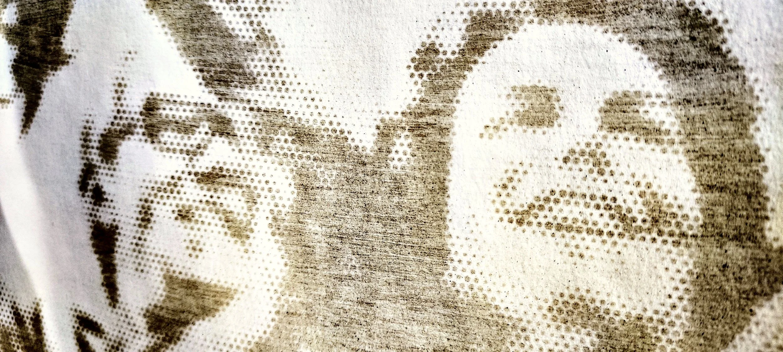 Mordiendo Polvo · Detail of a presidential campaign image made with dust · Bogotá, Colombia, 2024