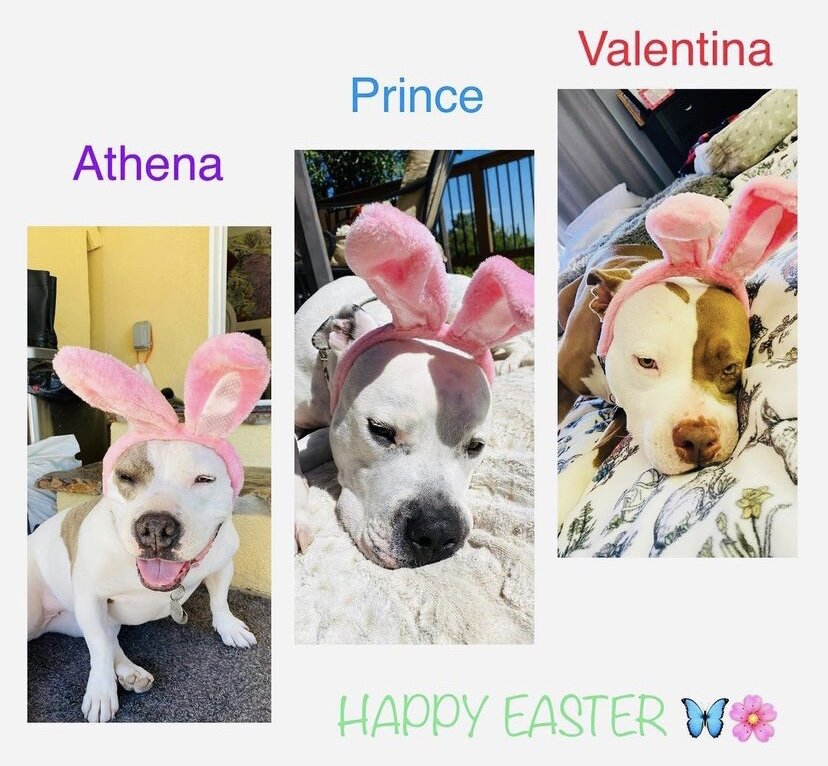 Athena, Prince and Valentina 