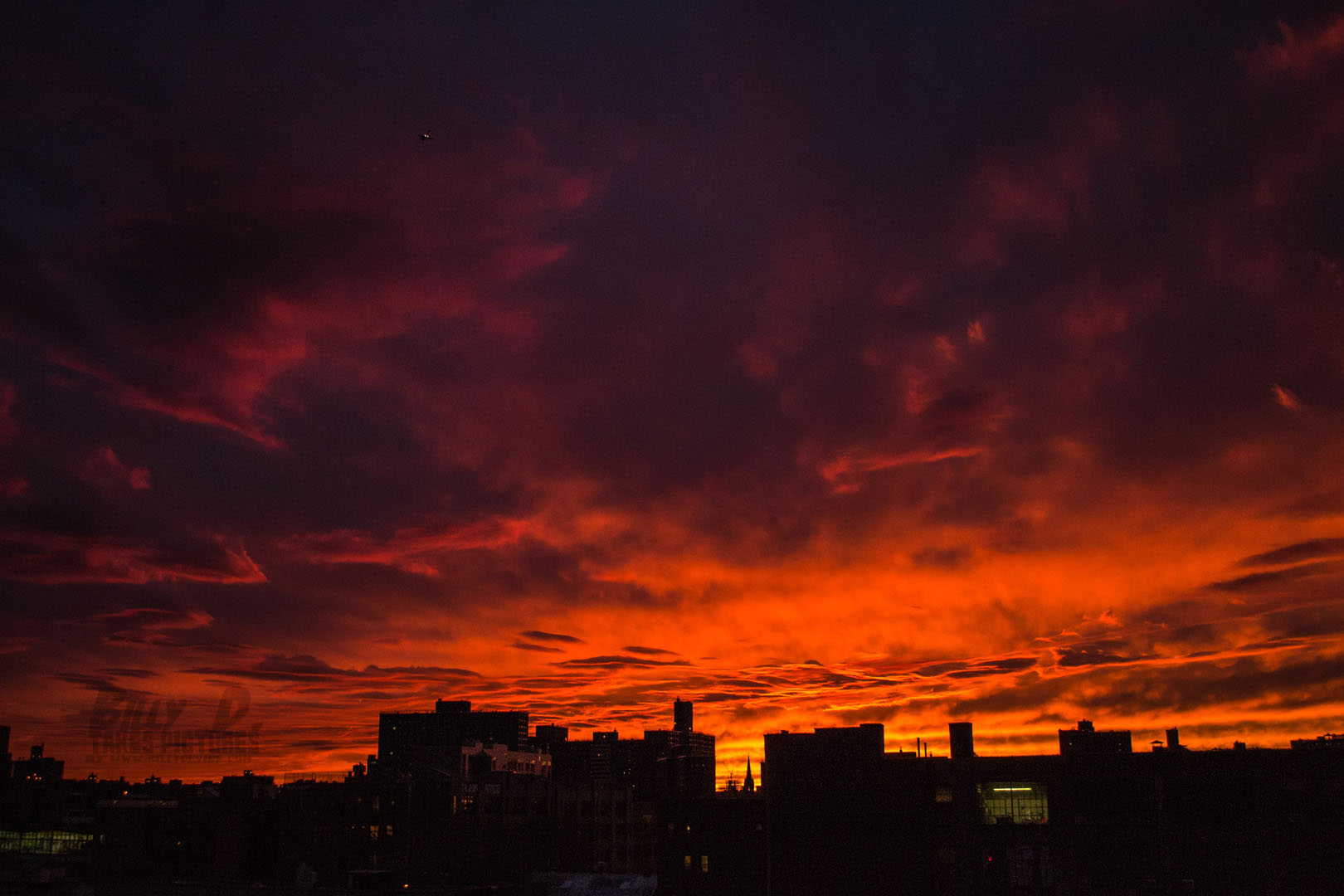 Bushwick Sunset (13 of 33).jpg