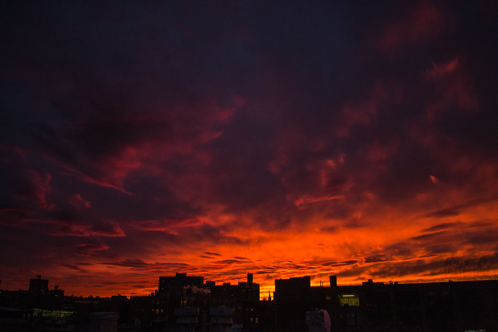 Bushwick Sunset (14 of 33).jpg