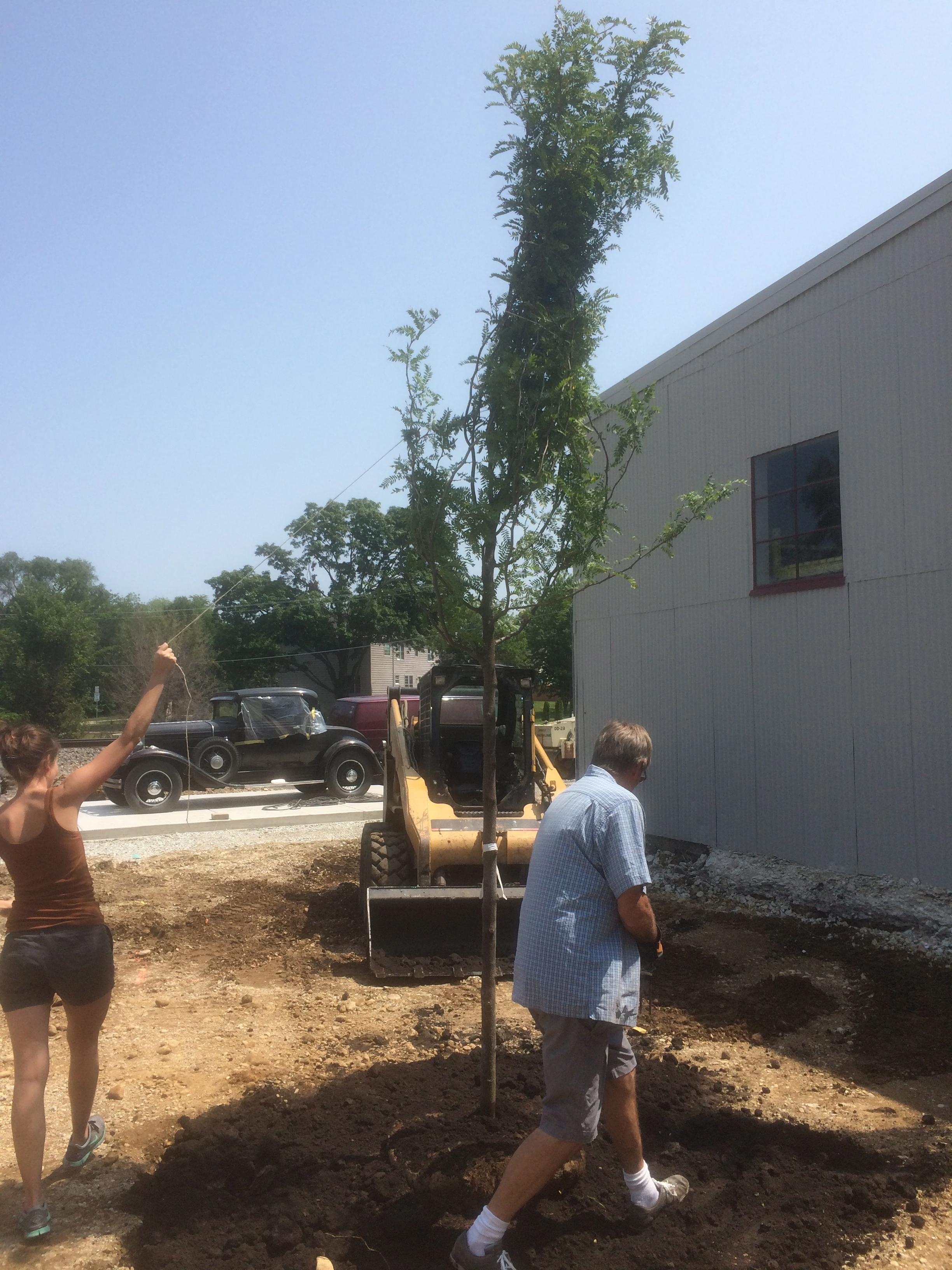 My dad, Clayton, and I planting the two trees in the courtyard, before the pavers were installed.