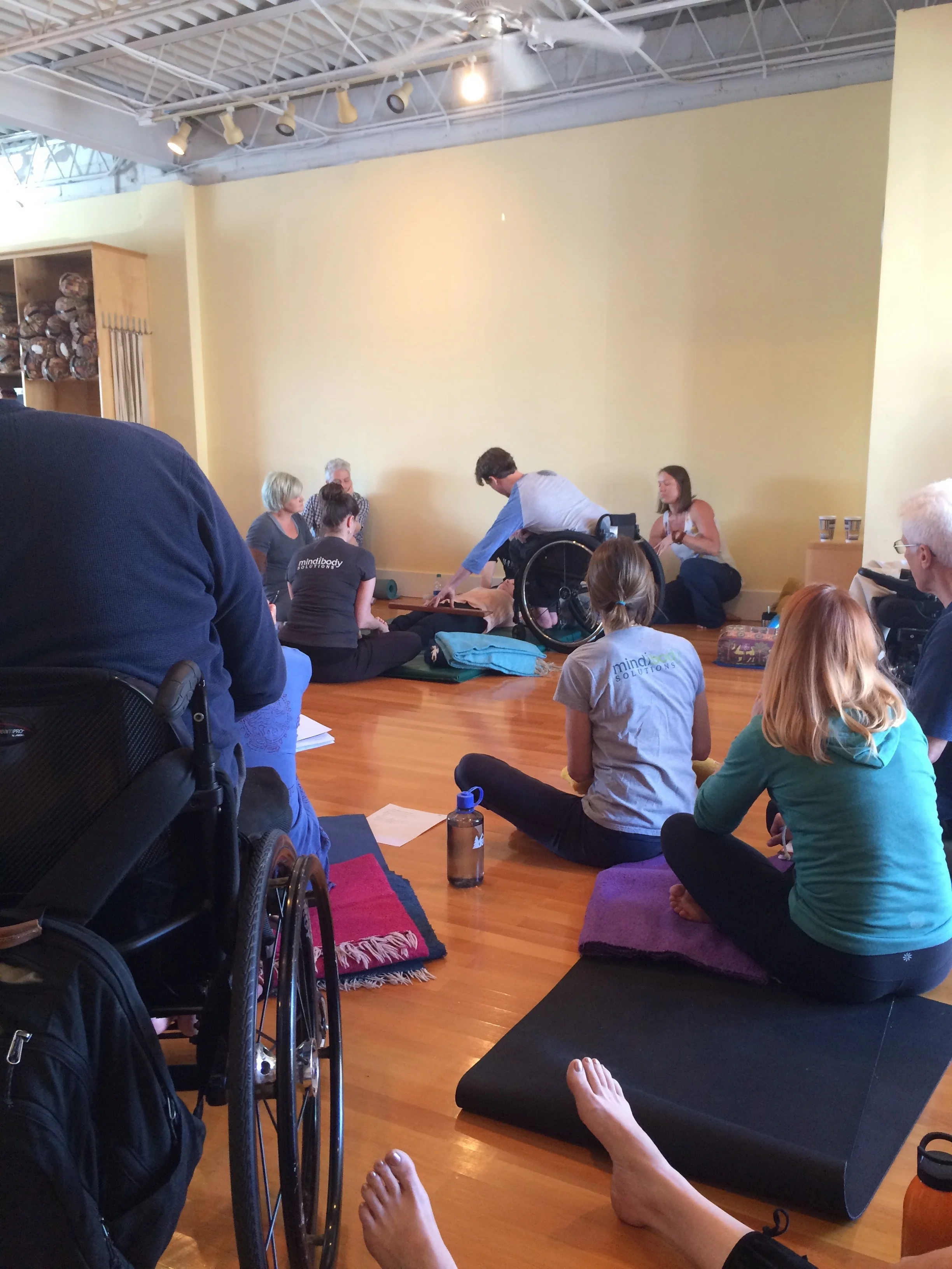 Mind Body Solutions Opening Yoga I/II - Minnesota, May 2016