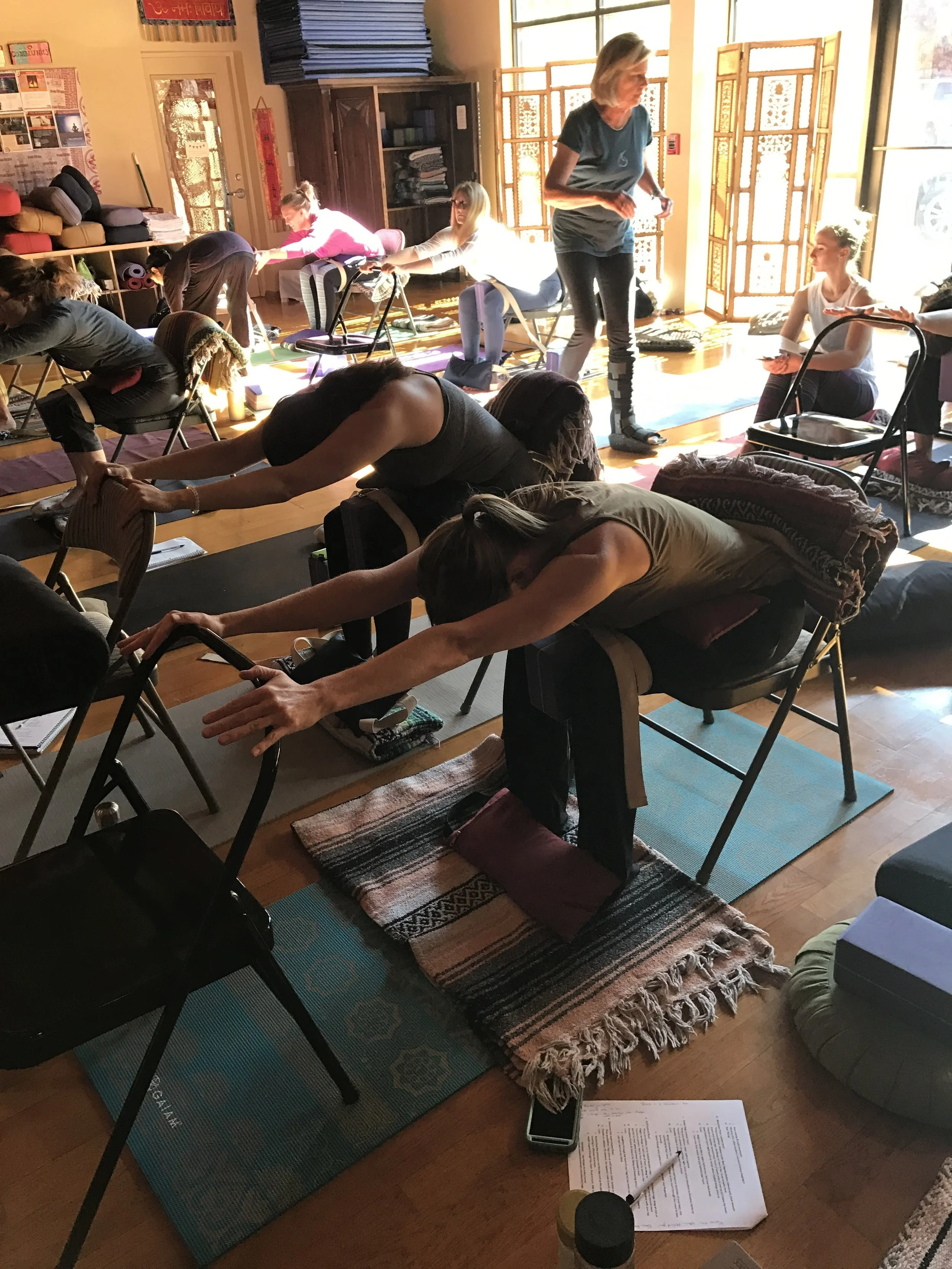 Introduction to Adaptive Yoga Teacher Training, YOGAdapt & Samadhi Center for Yoga - November 2016