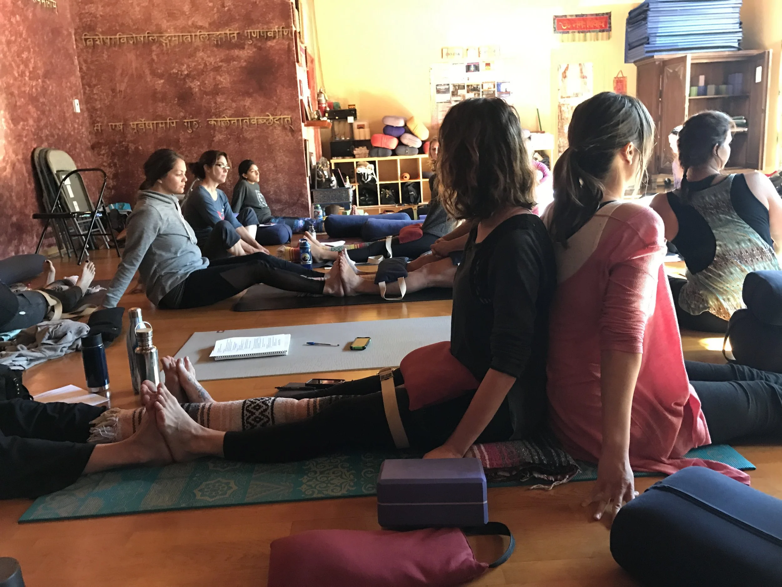 Introduction to Adaptive Yoga Teacher Training, YOGAdapt & Samadhi Center for Yoga - November 2016