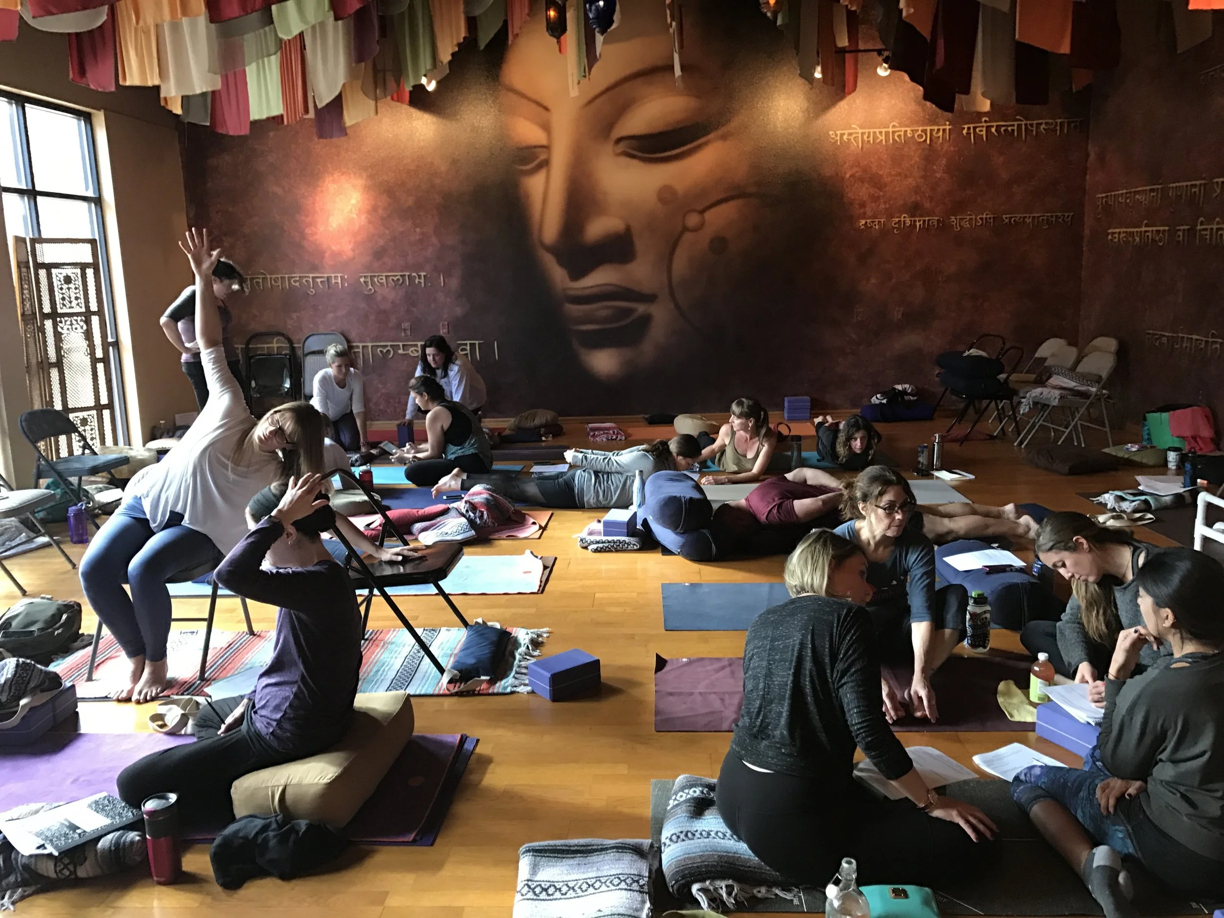 Introduction to Adaptive Yoga Teacher Training, YOGAdapt & Samadhi Center for Yoga - November 2016