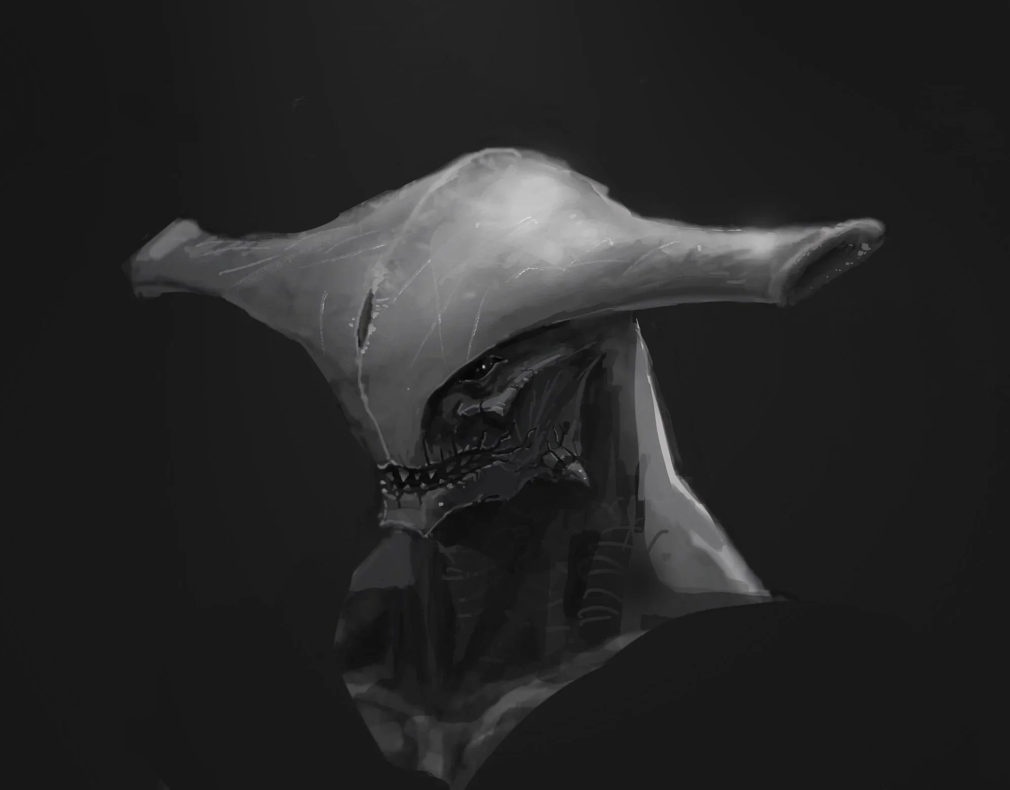 image-asset.jpg