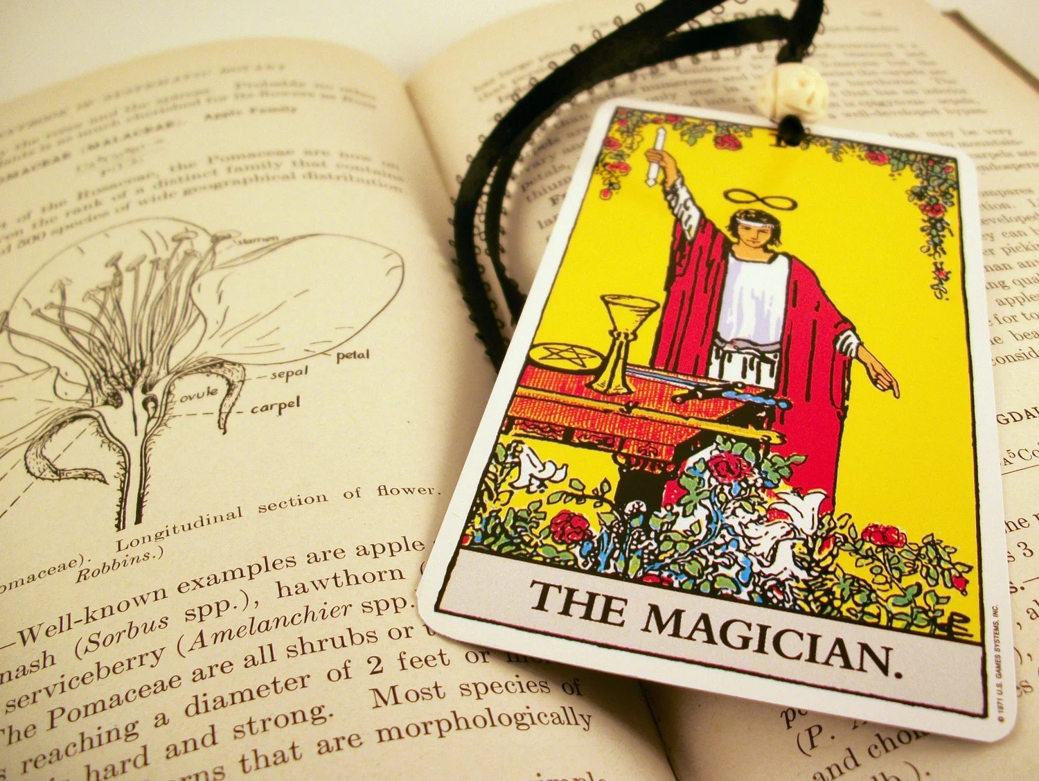 magician.jpg
