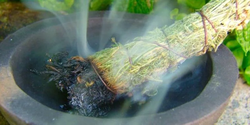 #sage Shaman #power .jpg