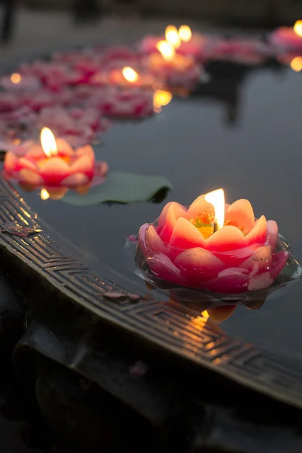 Zen garden #9.jpg