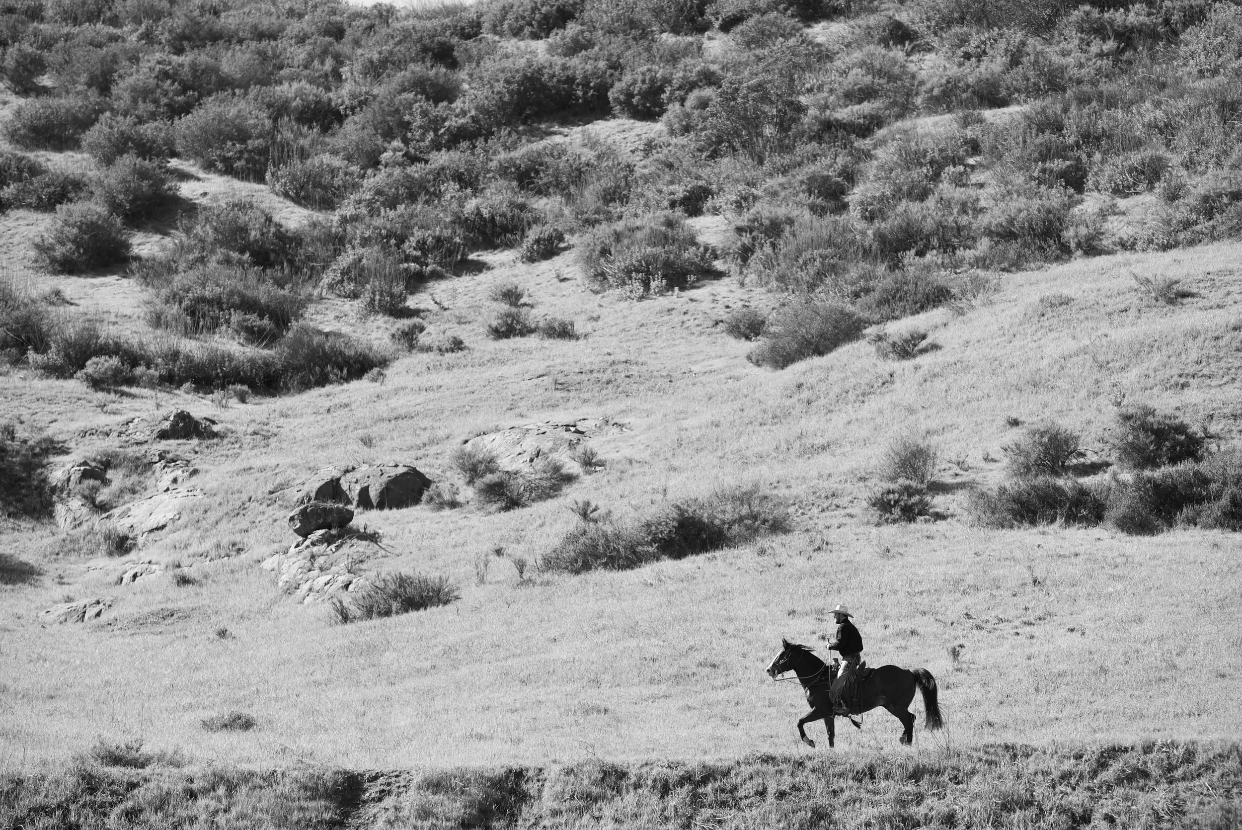_DSC9456.jpeg