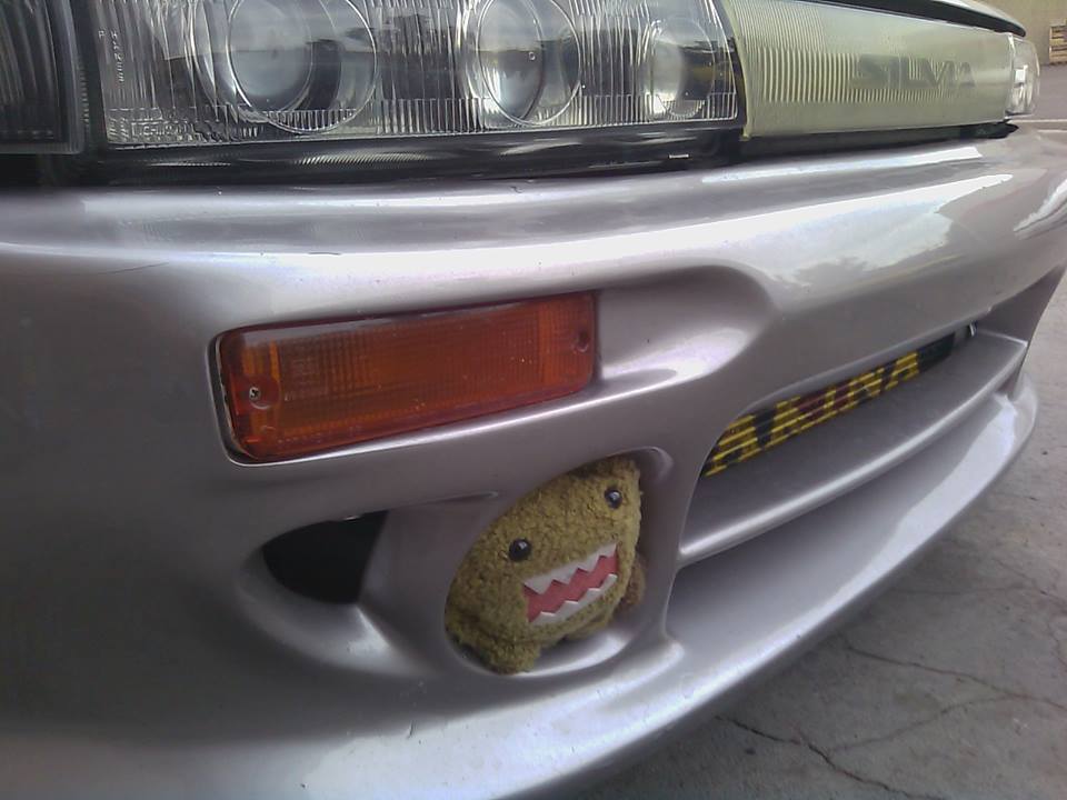 s13 domo.jpg