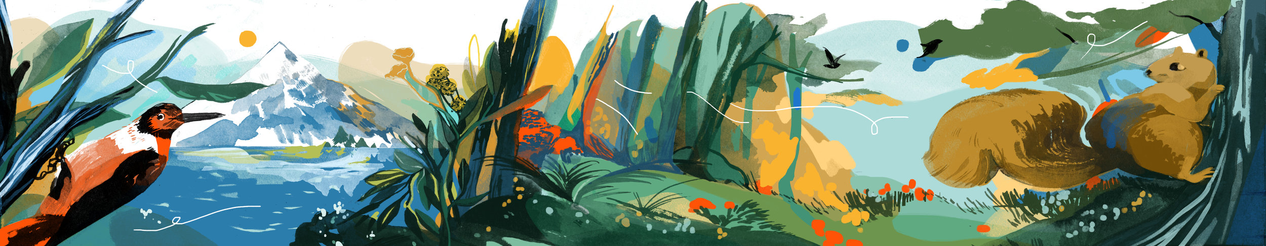 Banner 1.jpg