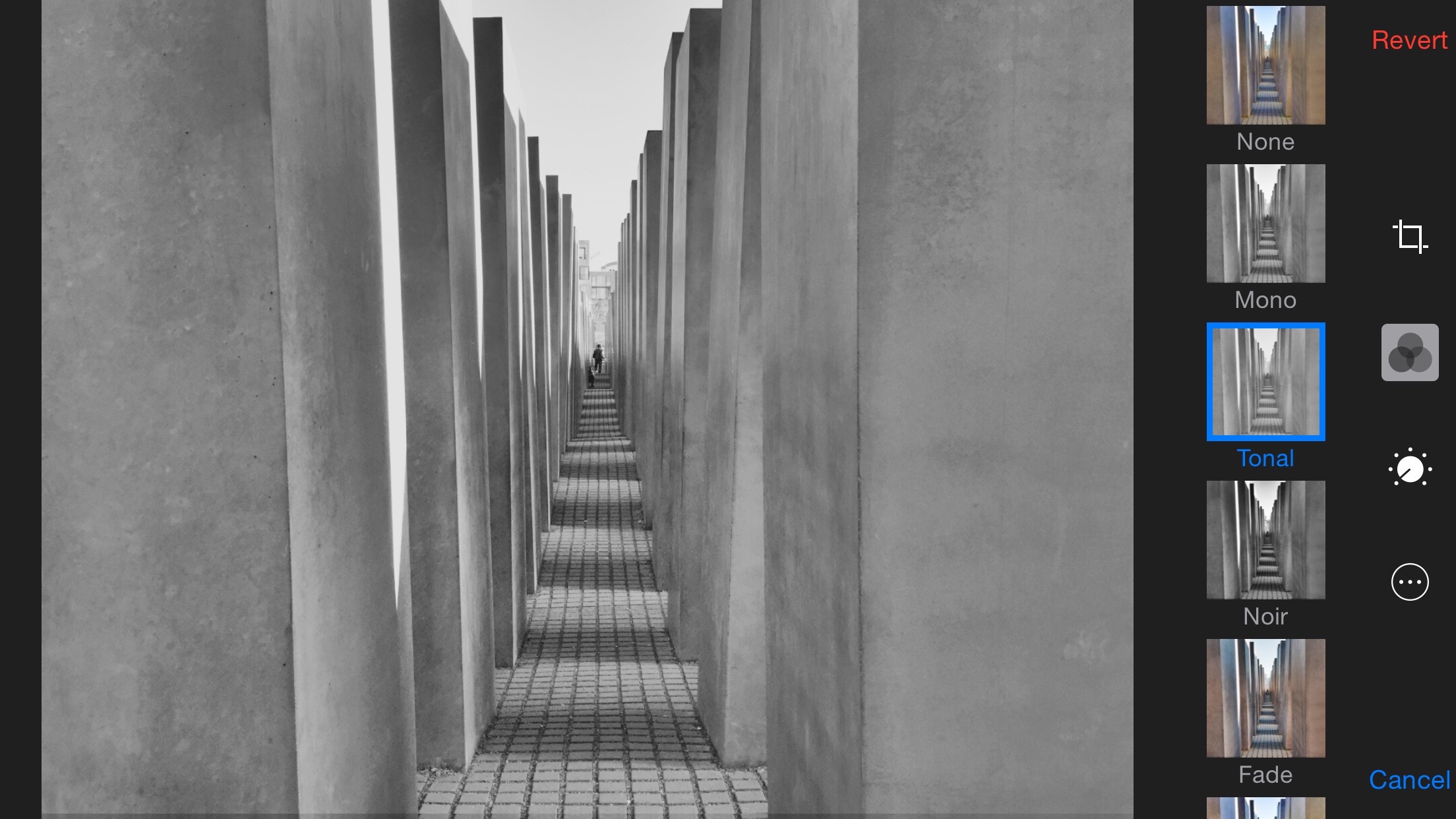 Using the tonal preset for black and white conversion