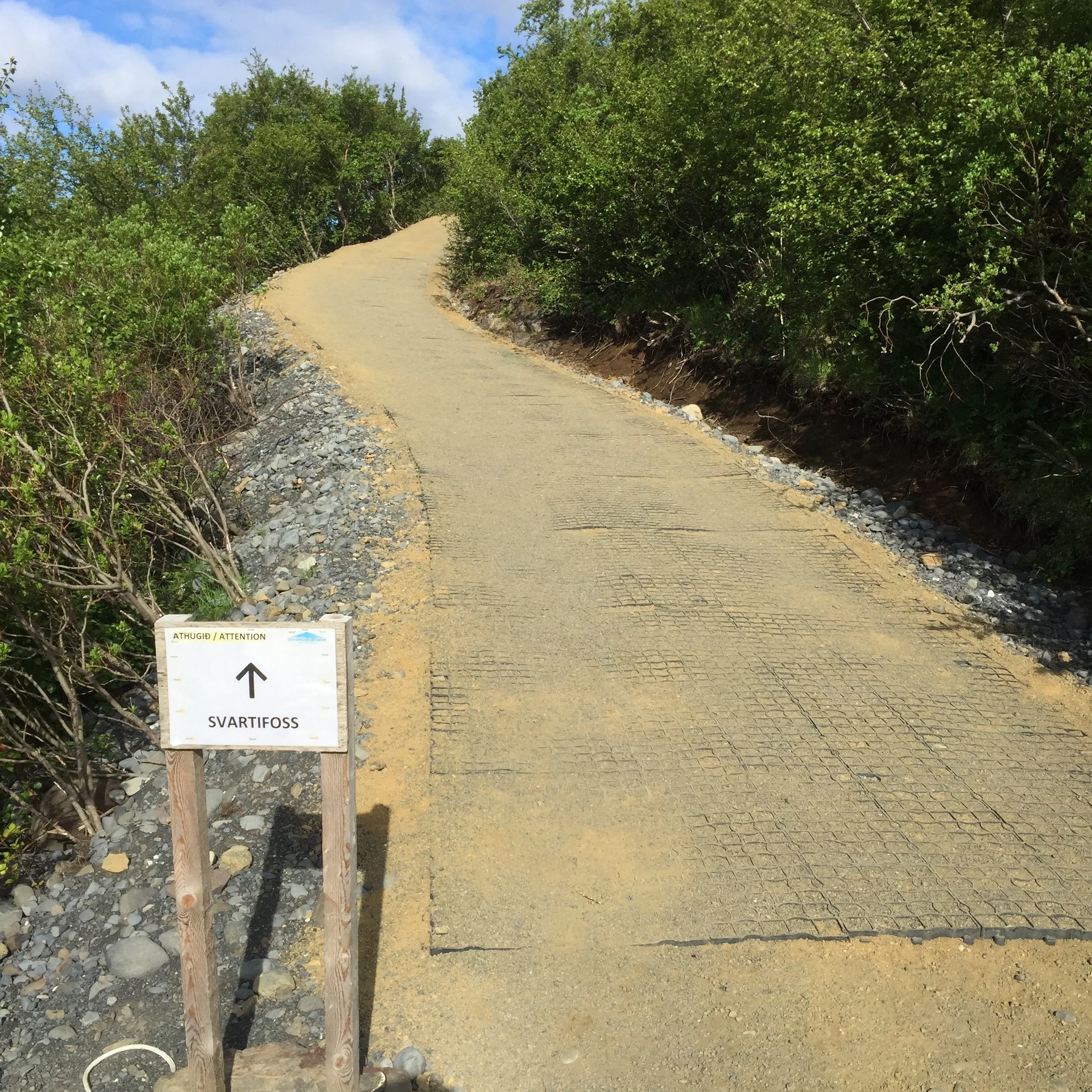 Path to Svartifoss
