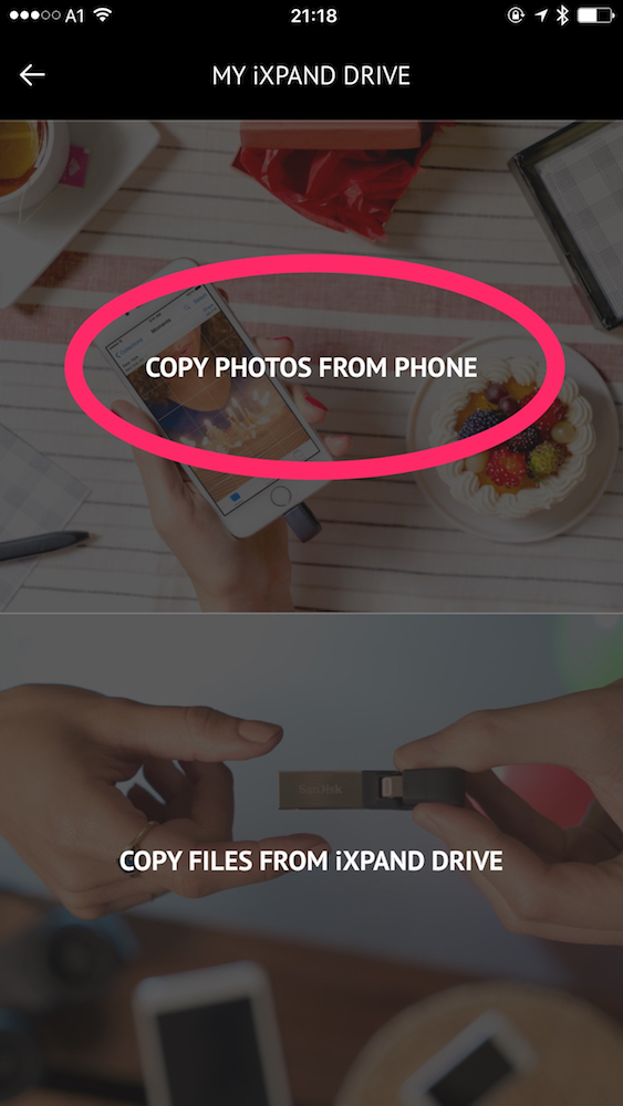 Chose "Copy Photos from Phone"
