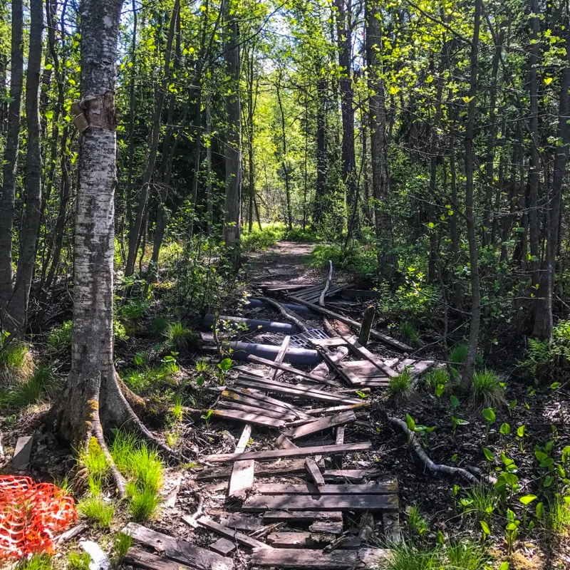 Abandoned trail in Kruunuvuori, Helsinki, Finnland