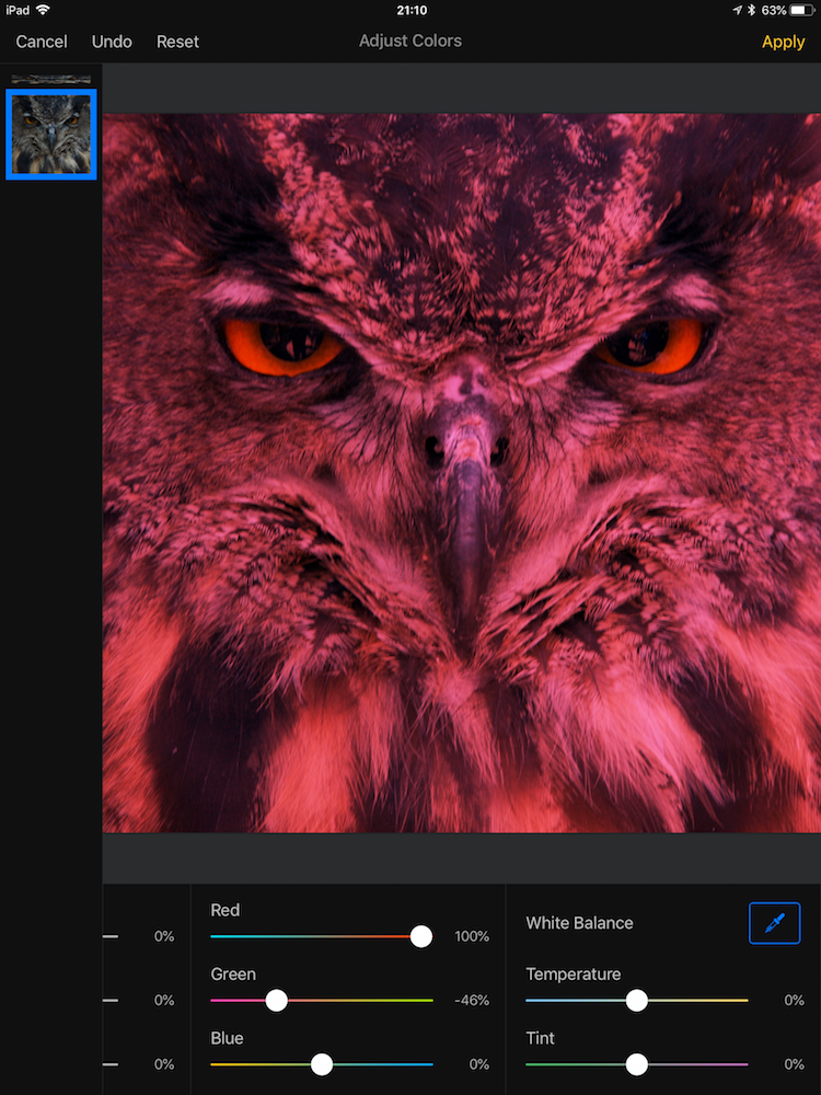 pixelmator-ios-selective-coloring-colorize-layer-1.png