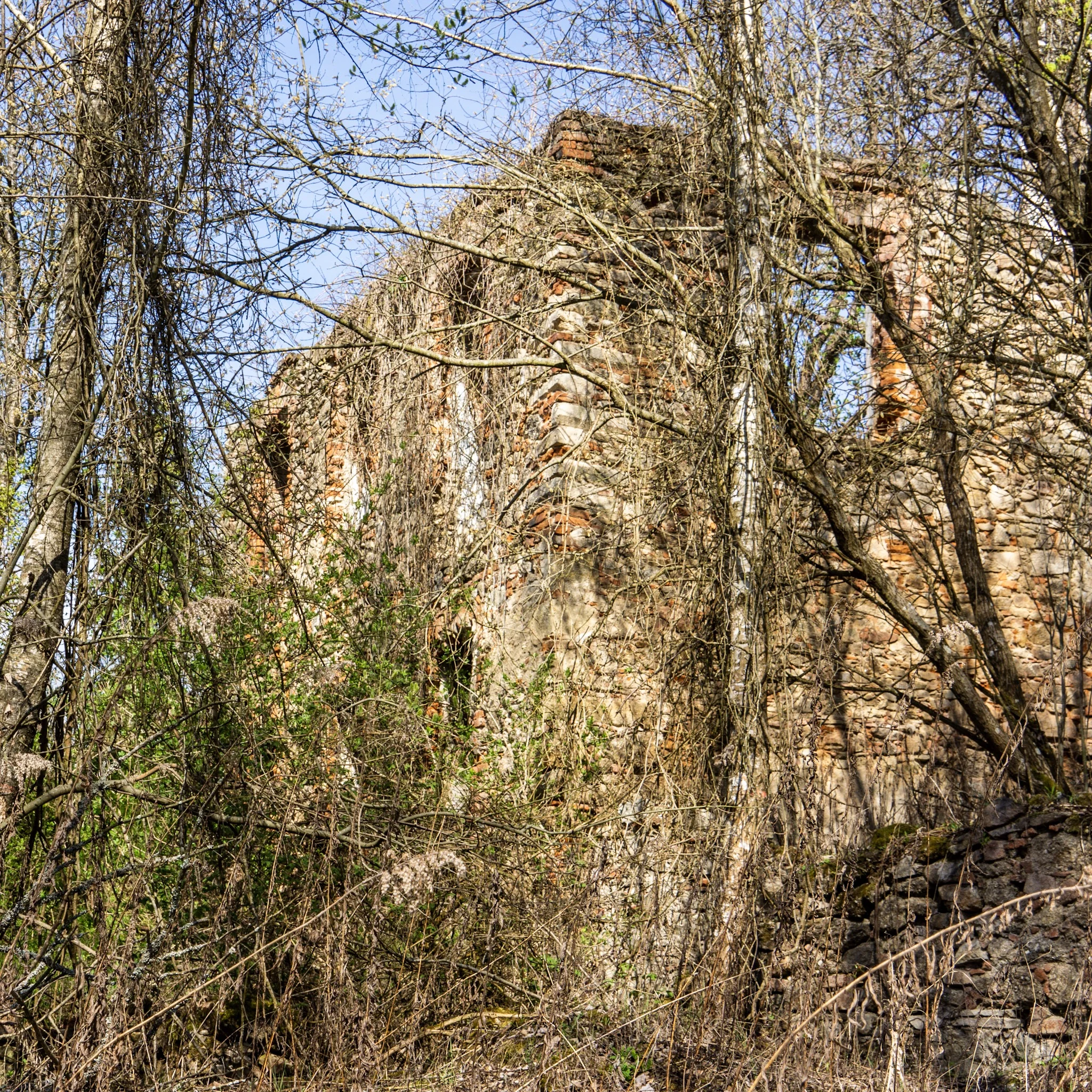 More abandoned structured in the woods at Döllersheim