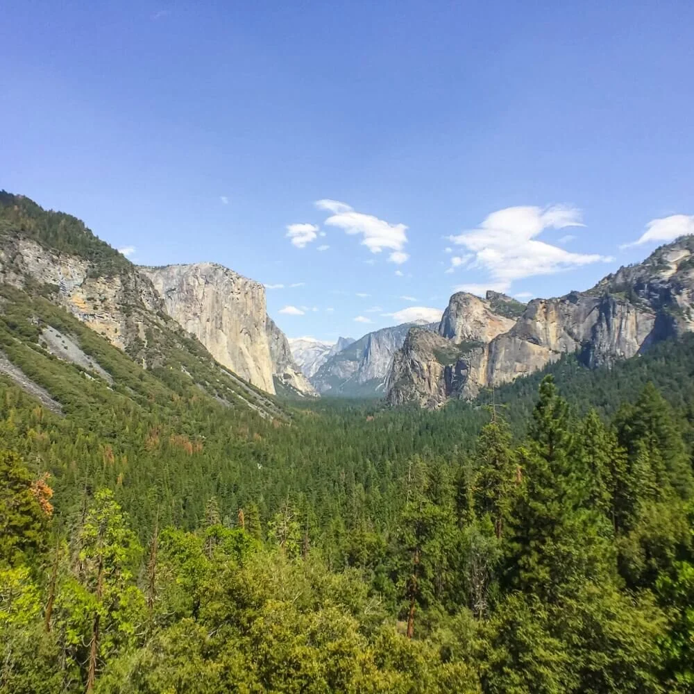 Tunnel view with Moment wide anglelens.