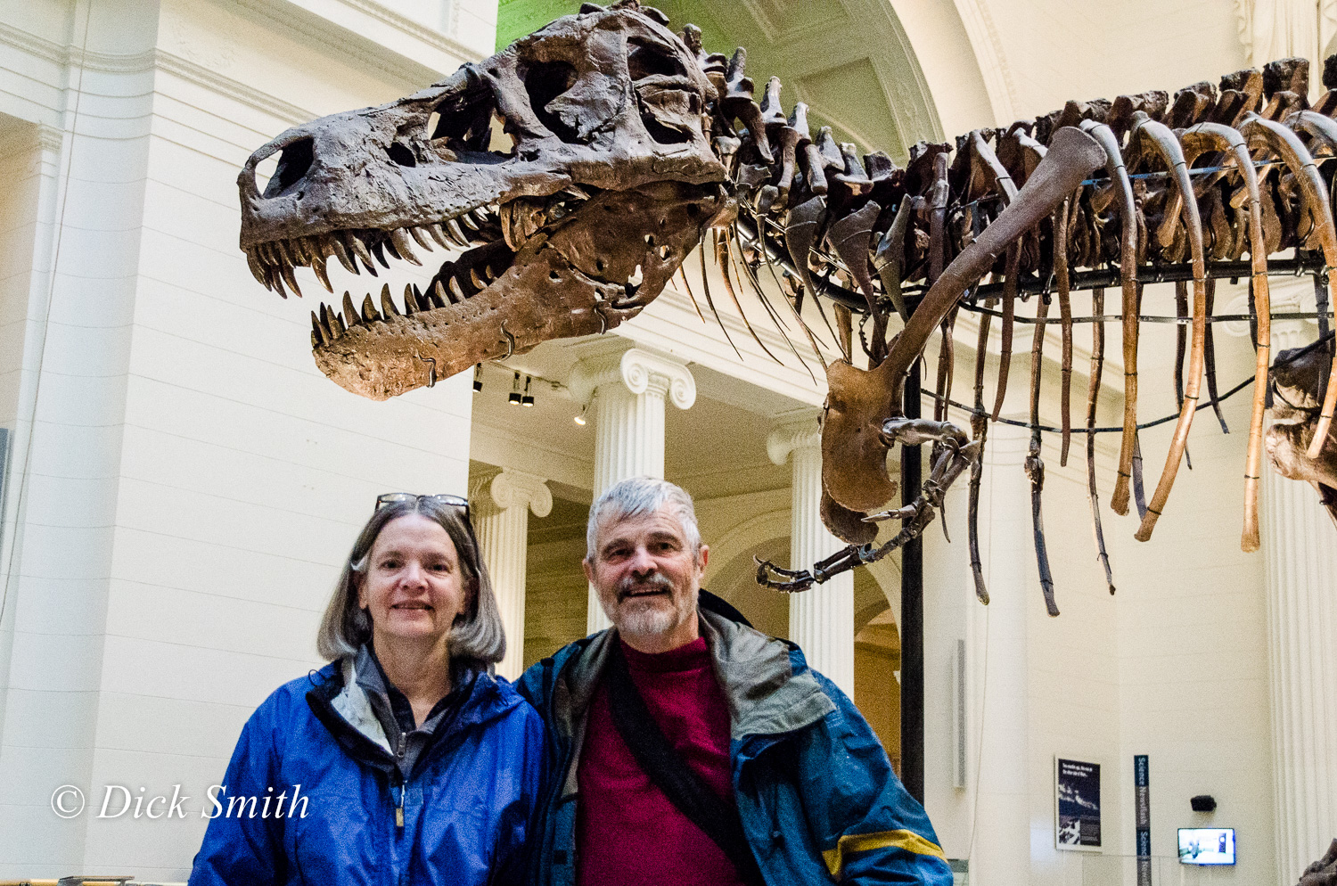 Jane with an old fossil in the Field Museum