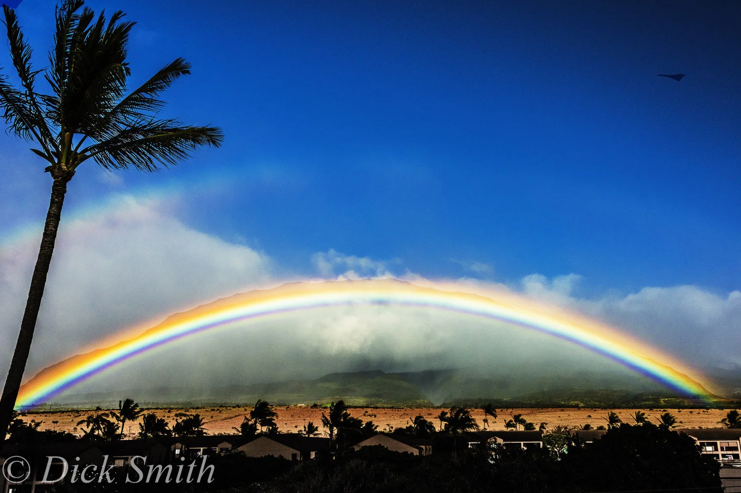 Hawaii 2017-632 3.jpg