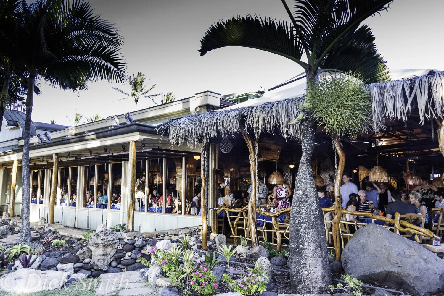 Hawaii 2017-1020.jpg