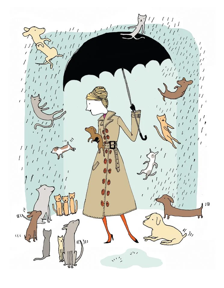 Raining Cats & Dogs, promo