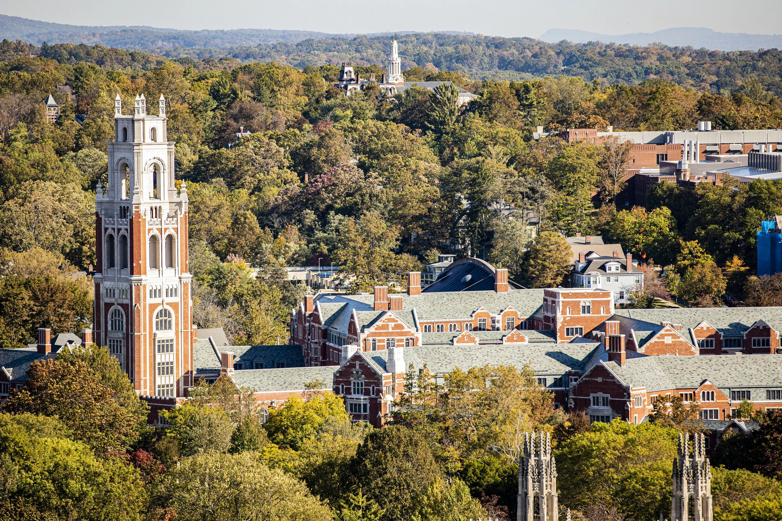 2020_10_15_09-02-03_049a9301 (1).JPG