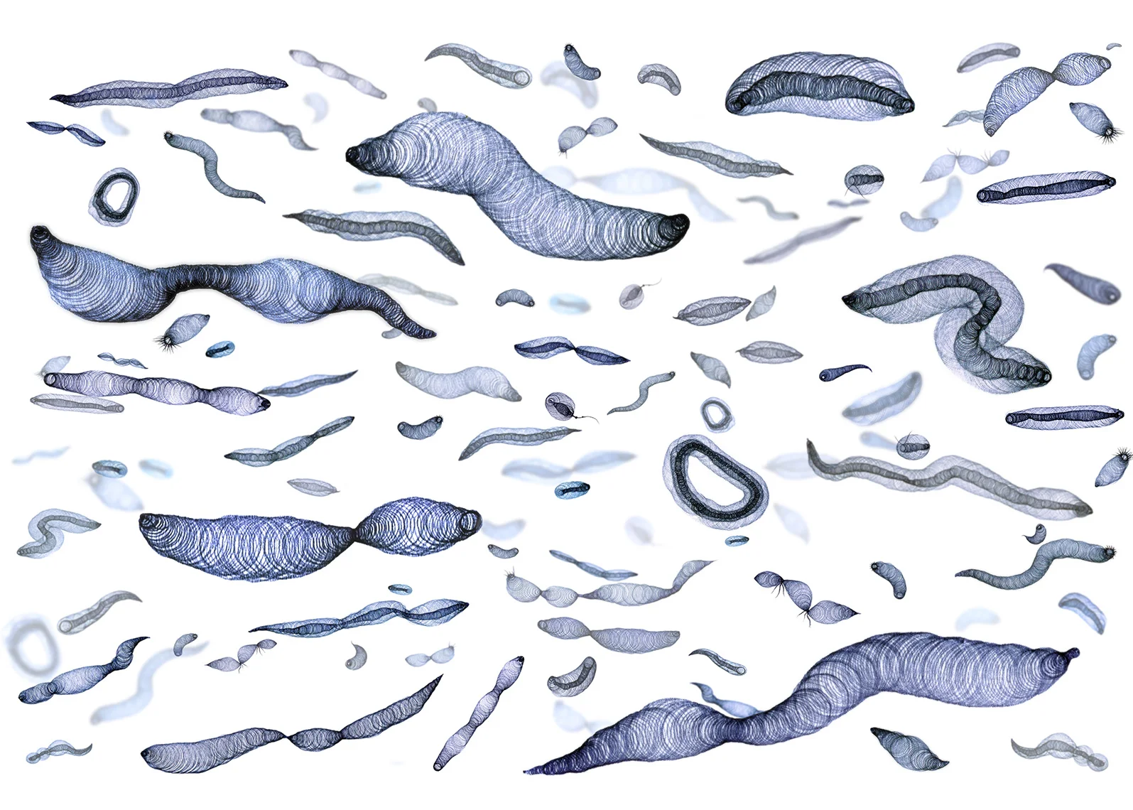 Floaters By Day