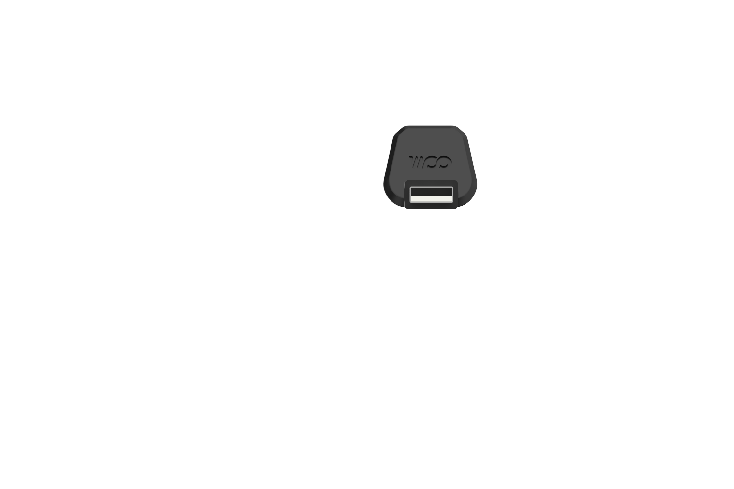 _0009_DongleUSB.1485.png