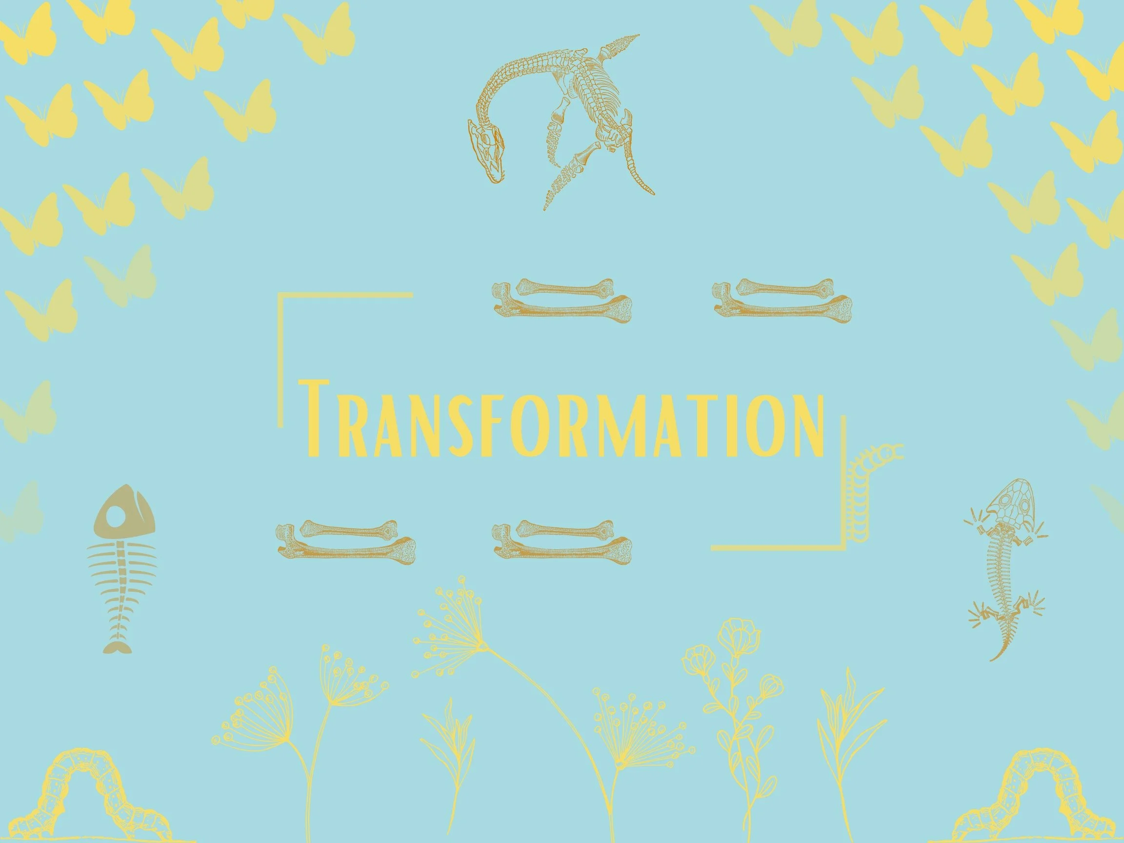 Transformation.jpeg