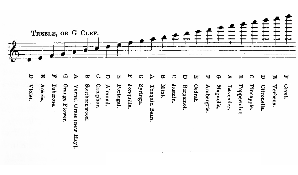The Gamut of Odors, Septimus Piesse