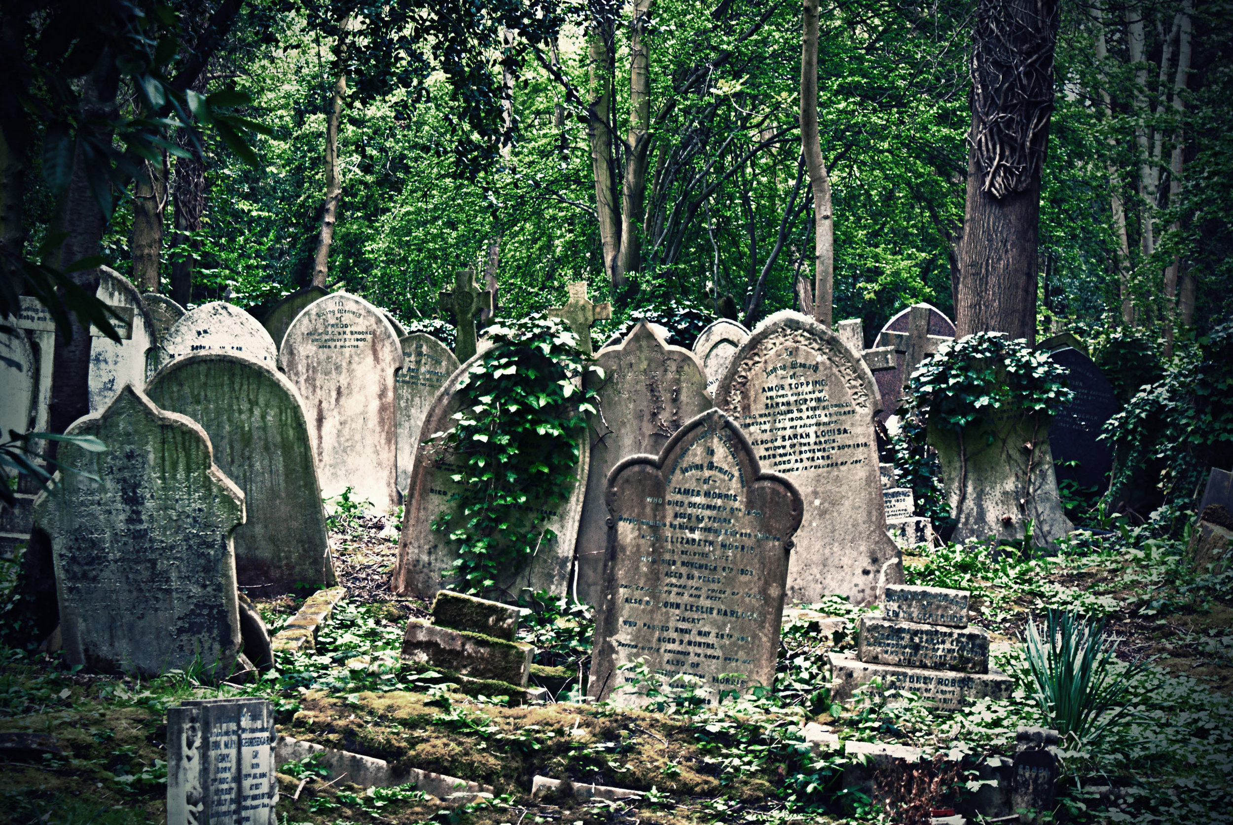 HIGHGATE CEMETERY, north london