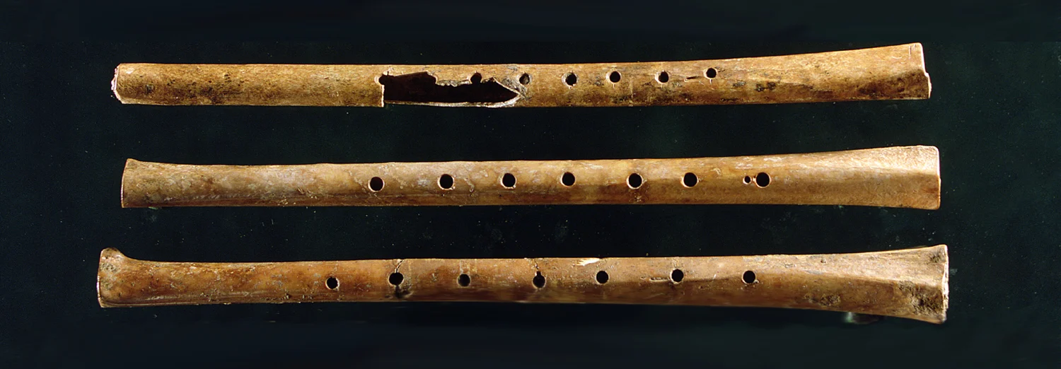Bone flutes from a 9000 year old site in China