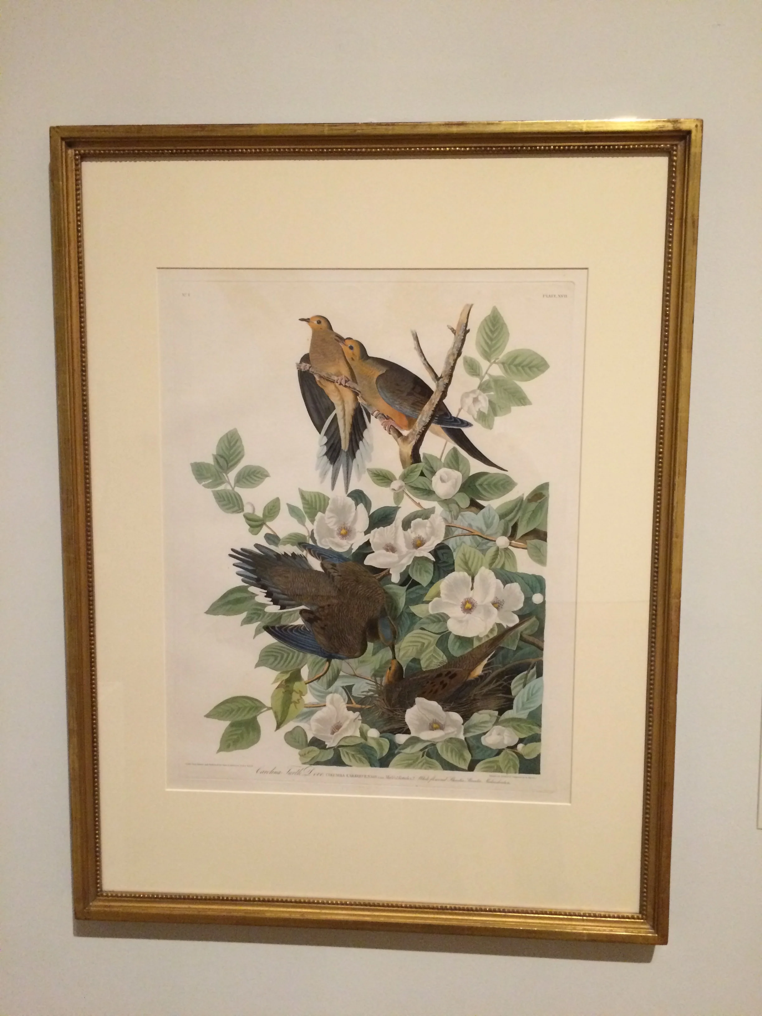 In this work, we see birds, perfectly preserved in art, sitting in a tree. Forever on, we will be able to recall this scene, even when the time comes when birds and flowers are gone. However, how do you get birds to pose like that? You don't. The artist, according to our guide Boyd, killed the birds and strung them up in the tree so that he could paint them properly. So...is that art? Or is that harming the environment? Or can it be both?
