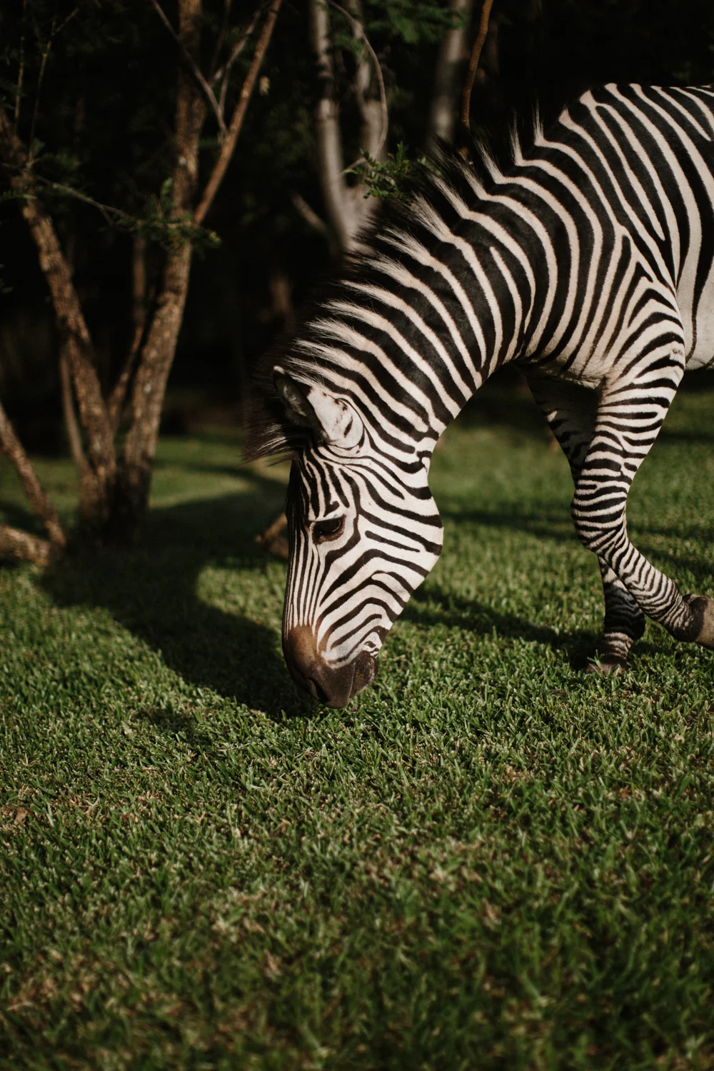 MichaelLiedtke_Zambia030.JPG